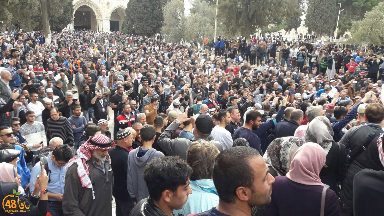 aqsa masirate (9).jpg